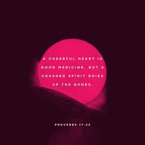 Meet your Posher, Kym